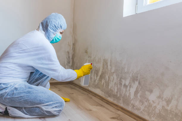 Licensed Bathroom Mold Removal service in Weehawken, NJ - 24 Hour Mold Removal
