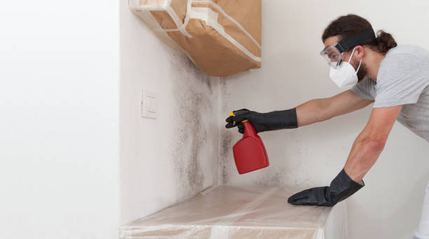 Professional Bathroom Mold Removal technician working in Weehawken, NJ