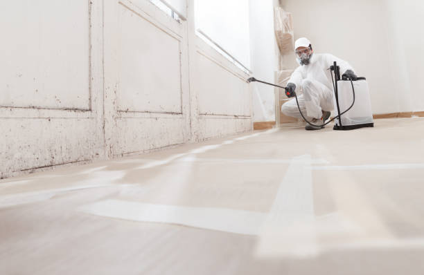 24/7 Emergency Bathroom Mold Removal experts in Weehawken, NJ