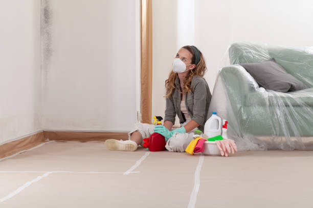 Reliable Bathroom Mold Removal contractor in Weehawken, NJ by 24 Hour Mold Removal