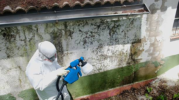 Top rated local Bathroom Mold Removal specialists in Weehawken, NJ